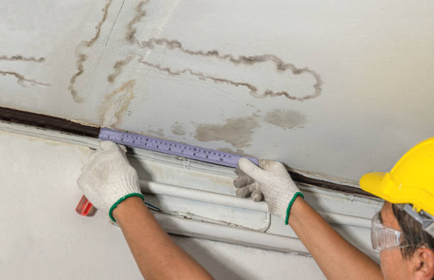 Reliable Mold Remediation contractor in Sterling, OK by Water Damage Irwin
